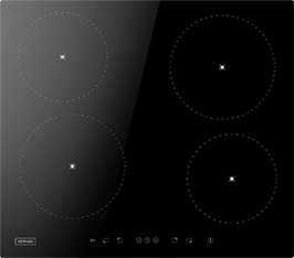 Induktionsfeld Reparatur Mainz